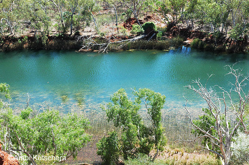 Millsteram - Deep Reach Pool
