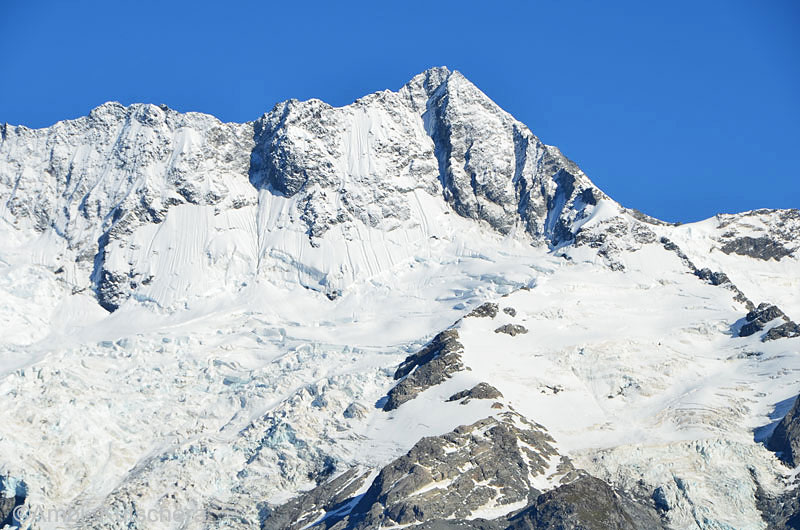 Aoraki Mt. Cook NP - Vorgipfel Mt. Cook
