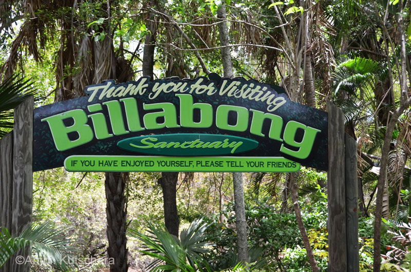 Billabong Sanctuary in Townsville