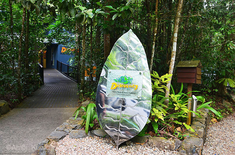 Daintree Tropcal Center -  Visitors Center