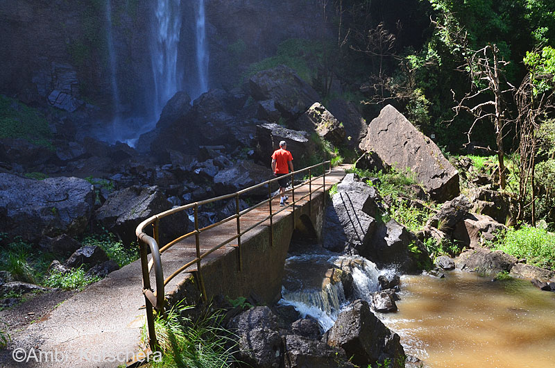 Main Range NP -Queen Mary Falls