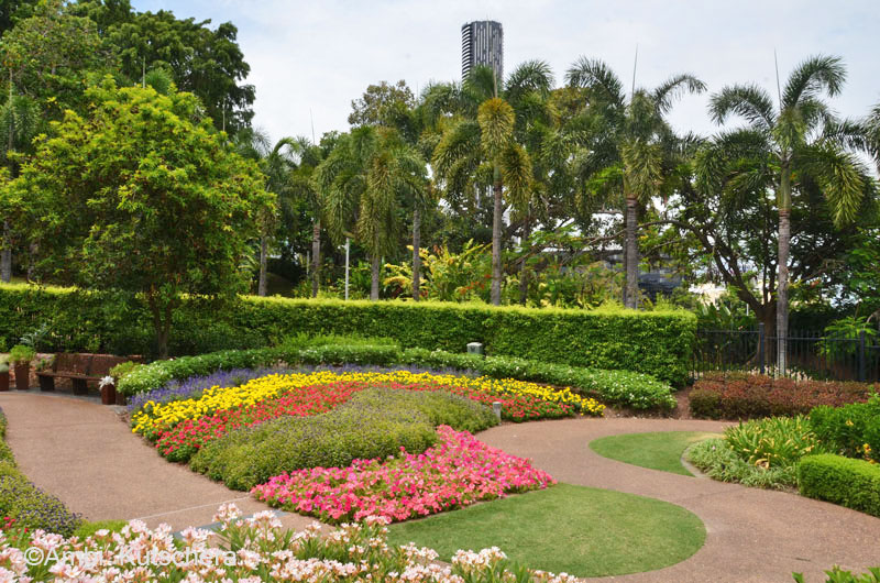 Blumen Brisbane