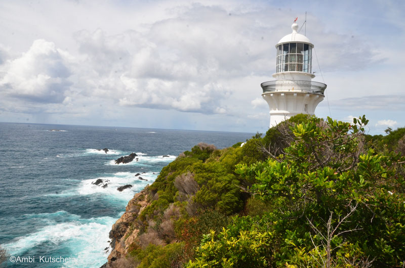 Sugarloaf Point - Lighthouse Seal Rocks